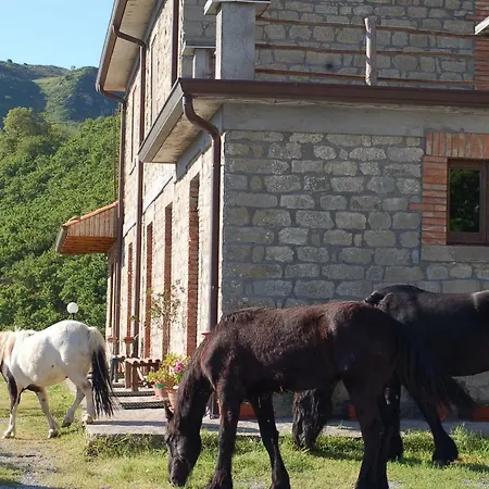 Agriturismo Il Capitano *