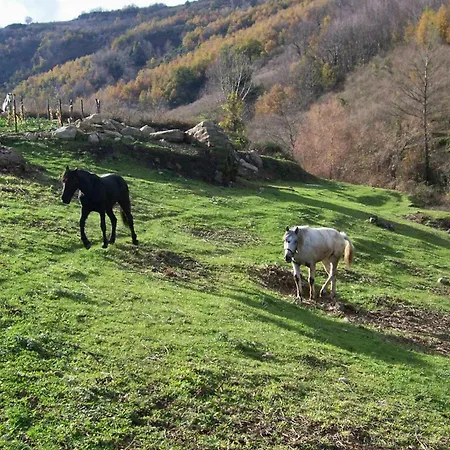 Séjour à la ferme Agriturismo Il Capitano Floresta