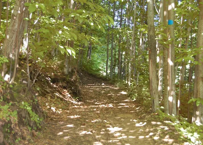 Agriturismo Il Capitano *