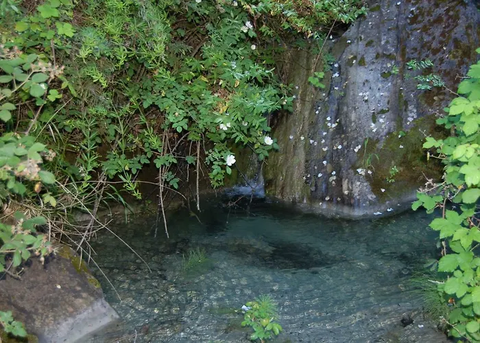 Agriturismo Il Capitano 农家乐 *