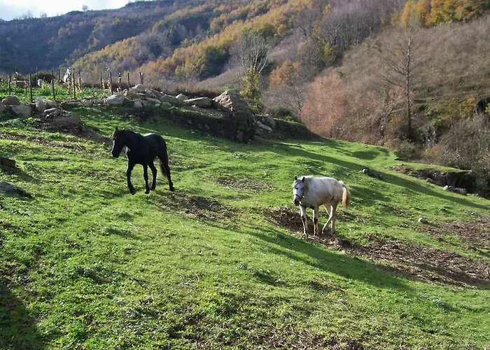 农家乐 Agriturismo Il Capitano Floresta
